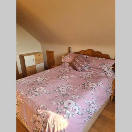 Breathneach House Villa Limerick Junction Eksteriør billede